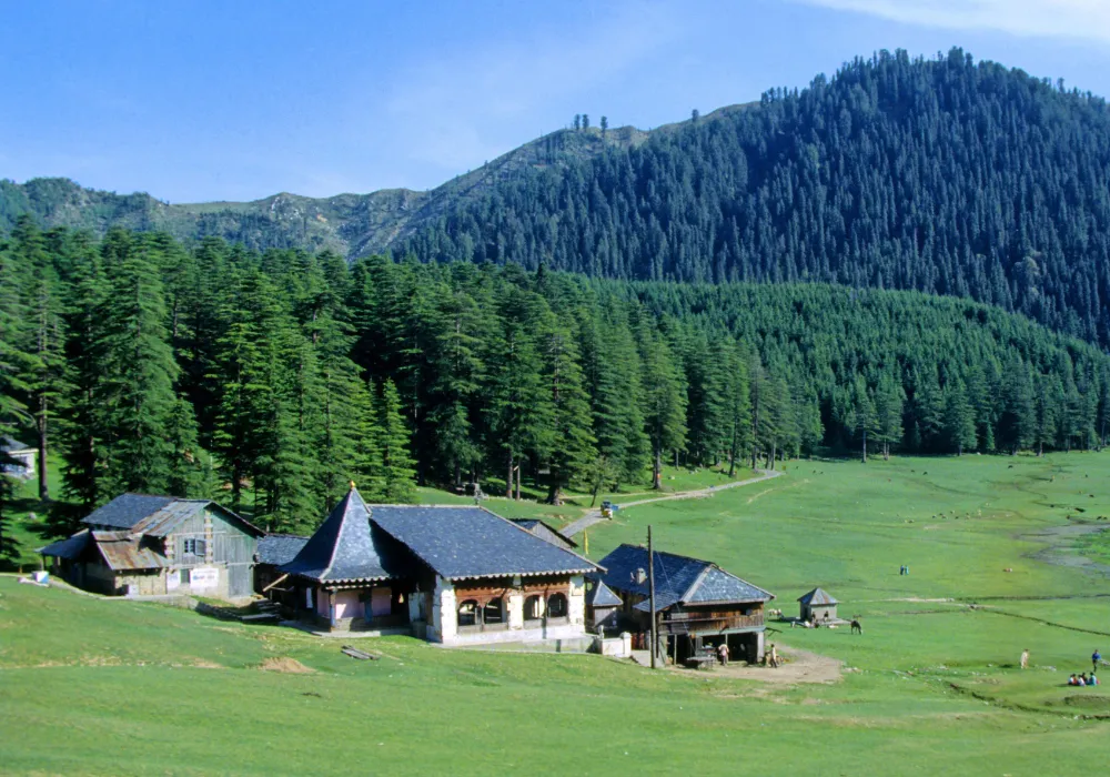 Pine forests and mountain viewpoints in Dalhousie