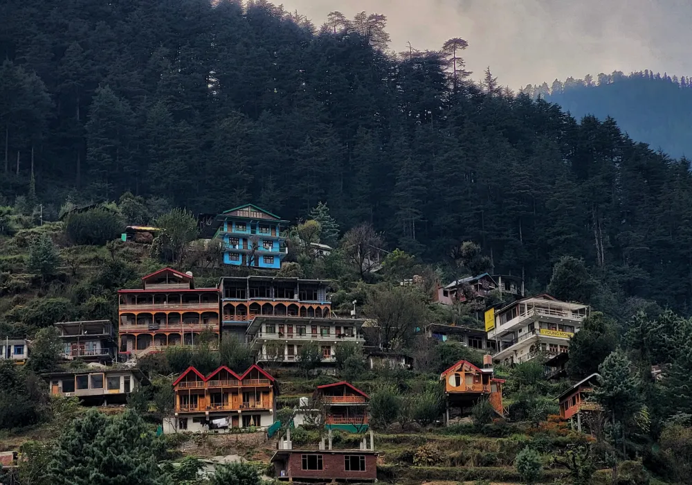 Wooden cottages and pine forest trails in Jibhi