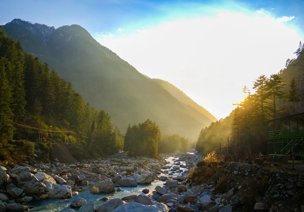 Parvati River flowing through pine forest near Kasol